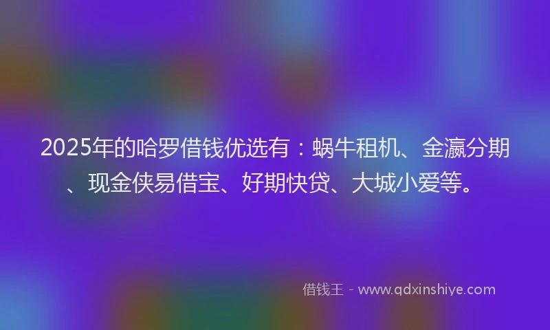 2025年的哈罗借钱优选有：蜗牛租机、金瀛分期、现金侠易借宝、好期快贷、大城小爱等。