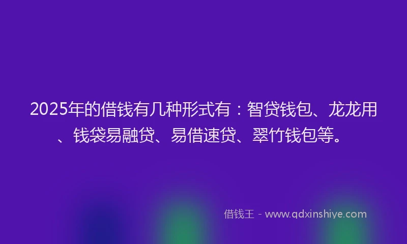 2025年的借钱有几种形式有：智贷钱包、龙龙用、钱袋易融贷、易借速贷、翠竹钱包等。