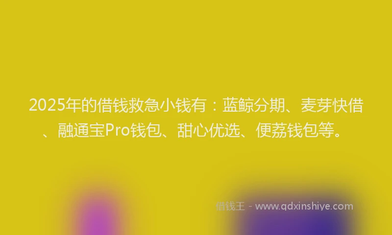 2025年的借钱救急小钱有：蓝鲸分期、麦芽快借、融通宝Pro钱包、甜心优选、便荔钱包等。