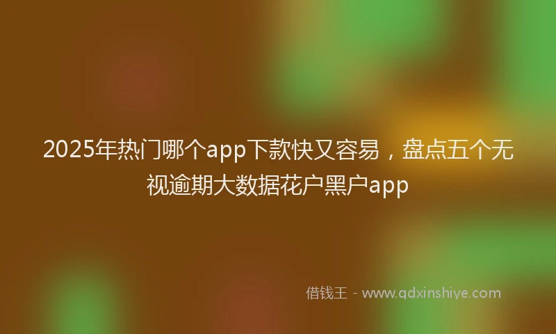 2025年热门哪个app下款快又容易，盘点五个无视逾期大数据花户黑户app