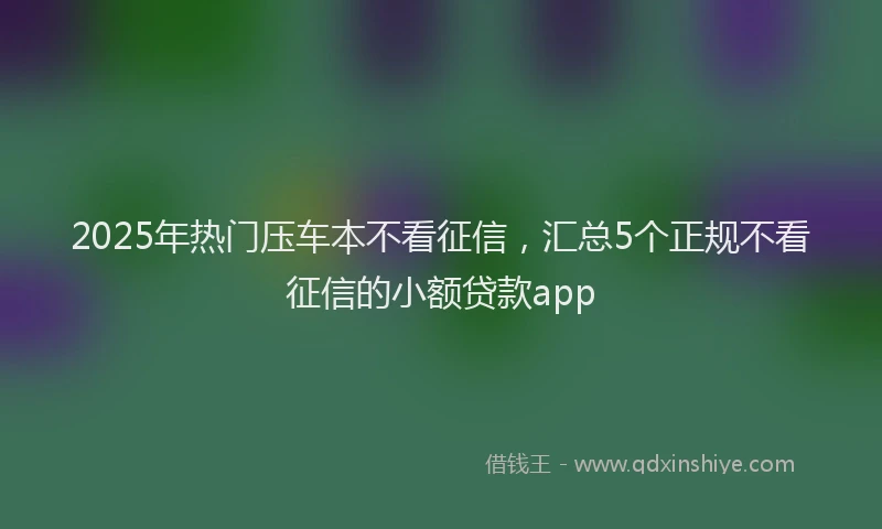 2025年热门压车本不看征信，汇总5个正规不看征信的小额贷款app