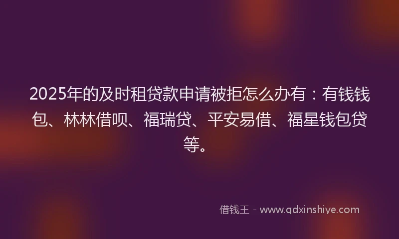 2025年的及时租贷款申请被拒怎么办有：有钱钱包、林林借呗、福瑞贷、平安易借、福星钱包贷等。