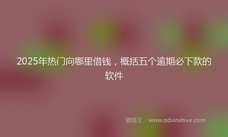 2025年热门向哪里借钱，概括五个逾期必下款的软件