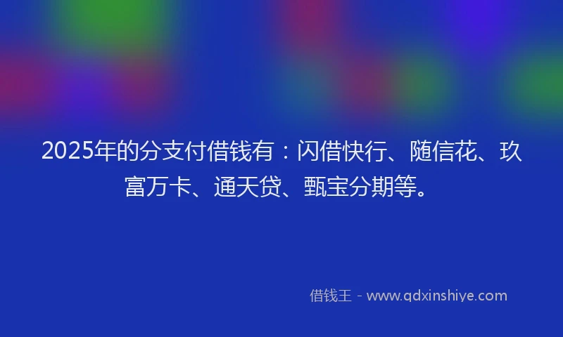 2025年的分支付借钱有：闪借快行、随信花、玖富万卡、通天贷、甄宝分期等。