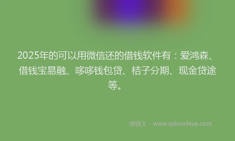 2025年的可以用微信还的借钱软件有：爱鸿森、借钱宝易融、哆哆钱包贷、桔子分期、现金贷途等。