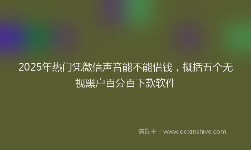 2025年热门凭微信声音能不能借钱，概括五个无视黑户百分百下款软件