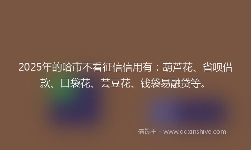 2025年的哈市不看征信信用有：葫芦花、省呗借款、口袋花、芸豆花、钱袋易融贷等。