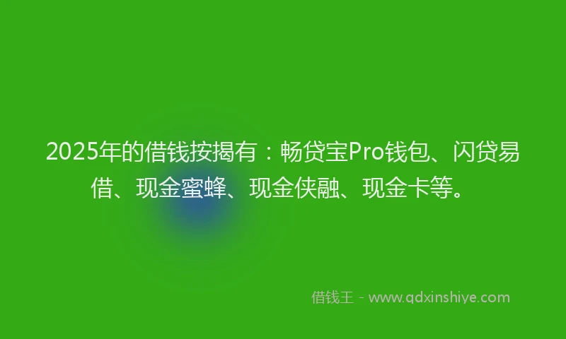 2025年的借钱按揭有：畅贷宝Pro钱包、闪贷易借、现金蜜蜂、现金侠融、现金卡等。