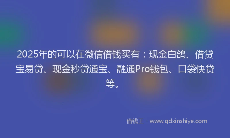 2025年的可以在微信借钱买有：现金白鸽、借贷宝易贷、现金秒贷通宝、融通Pro钱包、口袋快贷等。