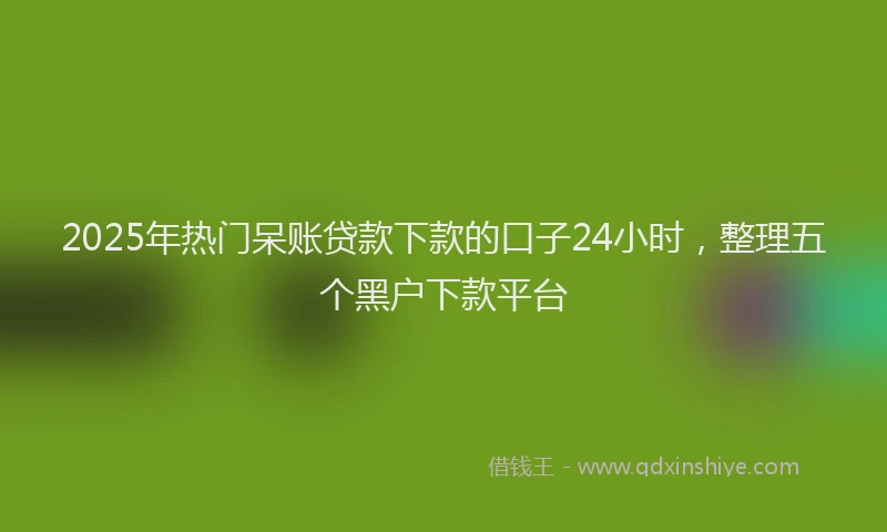 2025年热门呆账贷款下款的口子24小时，整理五个黑户下款平台