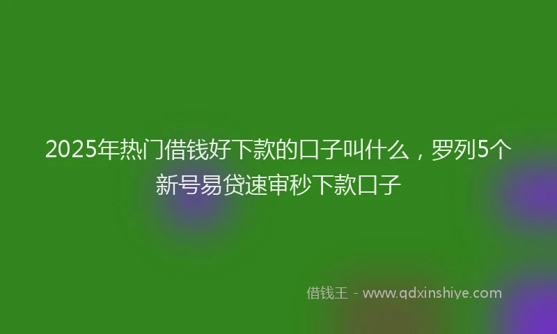 2025年热门借钱好下款的口子叫什么，罗列5个新号易贷速审秒下款口子
