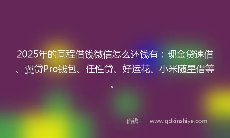 2025年的同程借钱微信怎么还钱有：现金贷速借、翼贷Pro钱包、任性贷、好运花、小米随星借等。