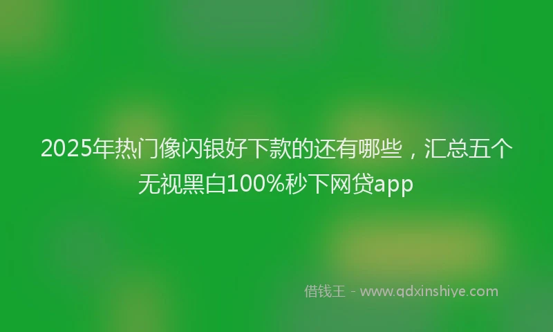 2025年热门像闪银好下款的还有哪些，汇总五个无视黑白100%秒下网贷app