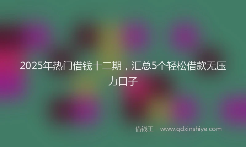 2025年热门借钱十二期，汇总5个轻松借款无压力口子