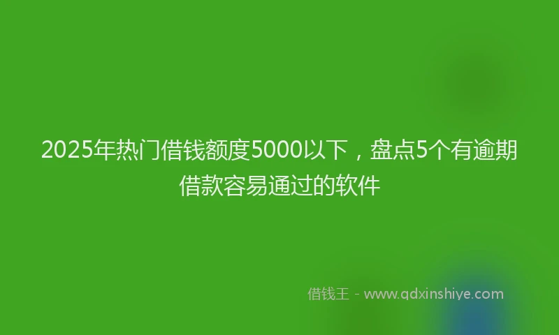 2025年热门借钱额度5000以下，盘点5个有逾期借款容易通过的软件