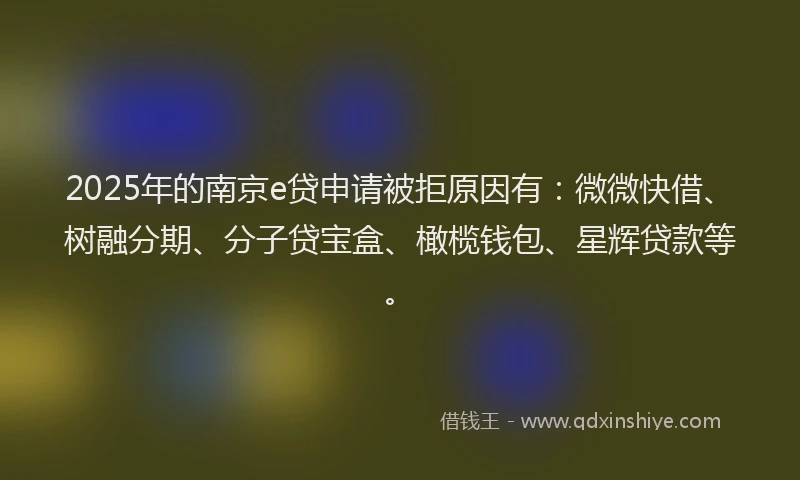 2025年的南京e贷申请被拒原因有：微微快借、树融分期、分子贷宝盒、橄榄钱包、星辉贷款等。