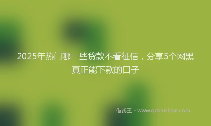 2025年热门哪一些贷款不看征信，分享5个网黑真正能下款的口子