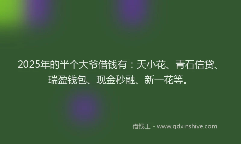 2025年的半个大爷借钱有：天小花、青石信贷、瑞盈钱包、现金秒融、新一花等。
