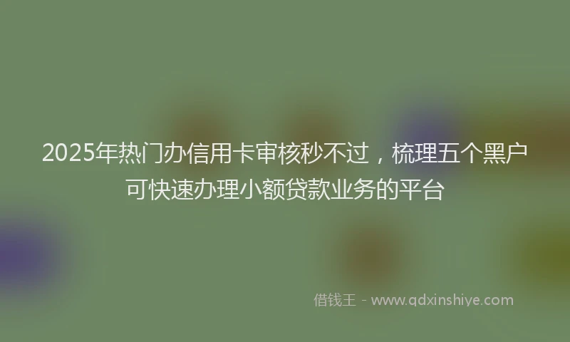 2025年热门办信用卡审核秒不过，梳理五个黑户可快速办理小额贷款业务的平台