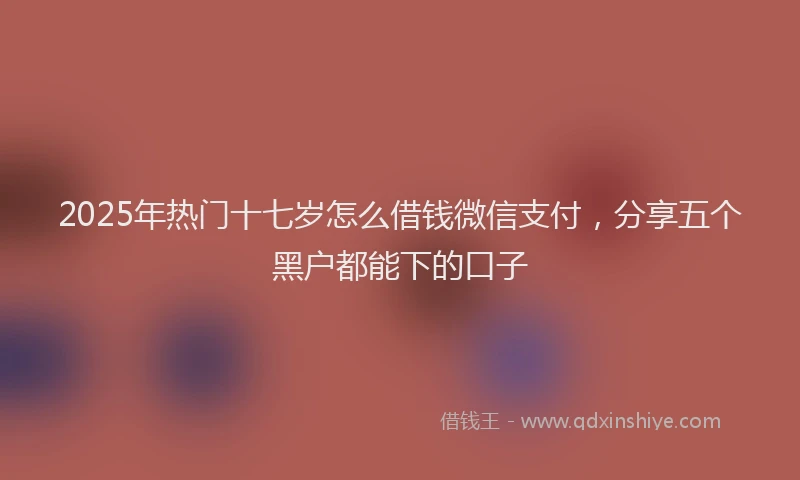 2025年热门十七岁怎么借钱微信支付，分享五个黑户都能下的口子