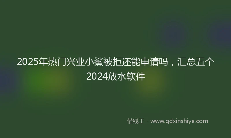 2025年热门兴业小鯊被拒还能申请吗，汇总五个2024放水软件