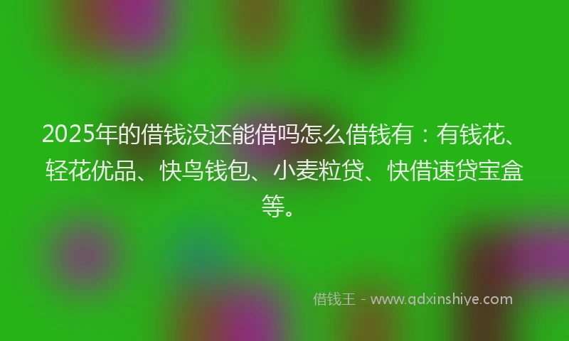 2025年的借钱没还能借吗怎么借钱有：有钱花、轻花优品、快鸟钱包、小麦粒贷、快借速贷宝盒等。