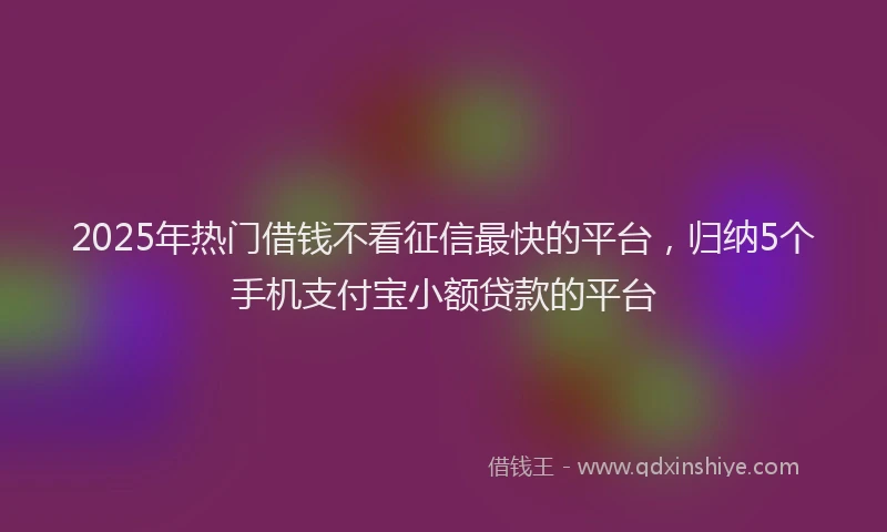 2025年热门借钱不看征信最快的平台，归纳5个手机支付宝小额贷款的平台