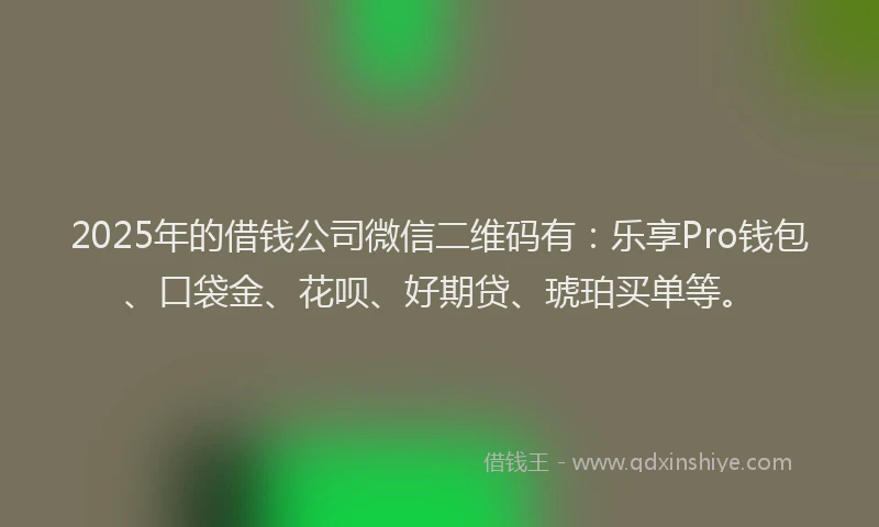 2025年的借钱公司微信二维码有：乐享Pro钱包、口袋金、花呗、好期贷、琥珀买单等。