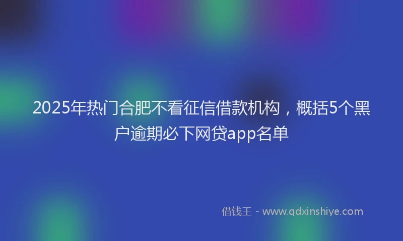 2025年热门合肥不看征信借款机构，概括5个黑户逾期必下网贷app名单