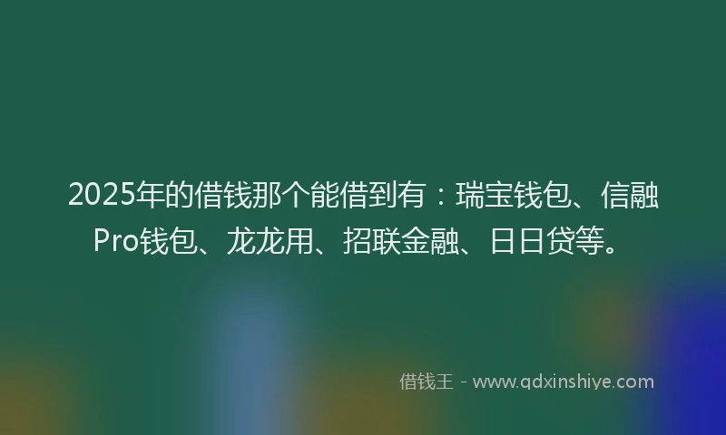 2025年的借钱那个能借到有：瑞宝钱包、信融Pro钱包、龙龙用、招联金融、日日贷等。