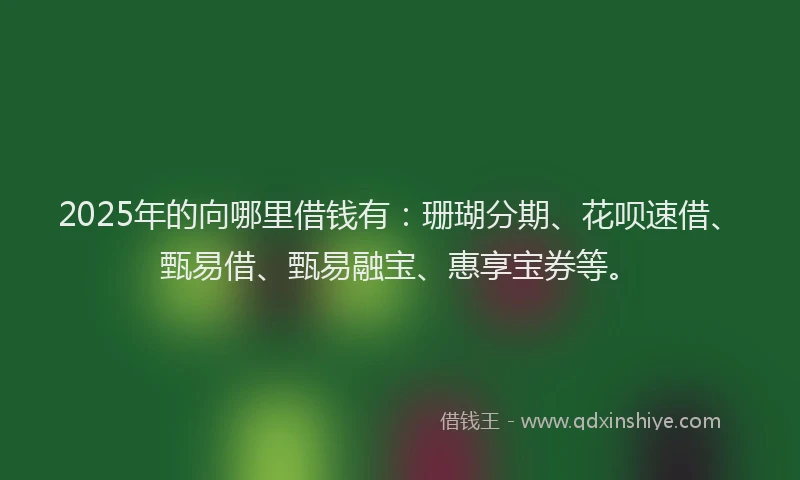 2025年的向哪里借钱有：珊瑚分期、花呗速借、甄易借、甄易融宝、惠享宝券等。
