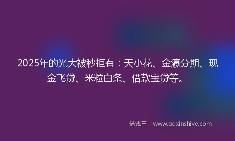 2025年的光大被秒拒有：天小花、金瀛分期、现金飞贷、米粒白条、借款宝贷等。