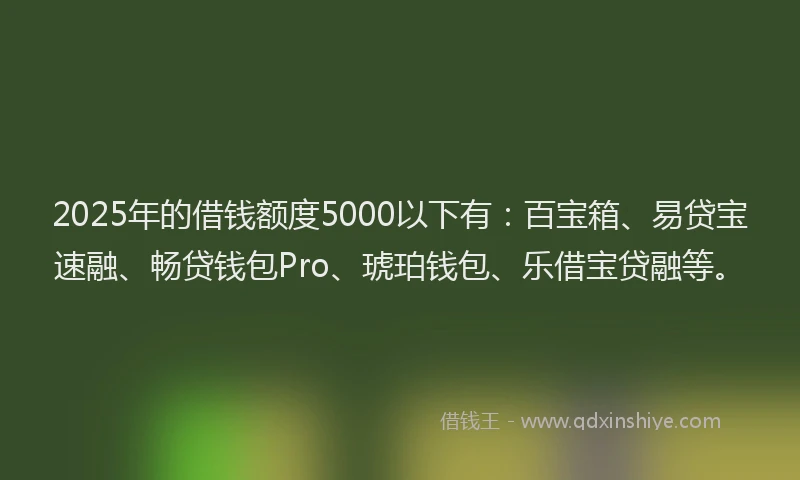 2025年的借钱额度5000以下有：百宝箱、易贷宝速融、畅贷钱包Pro、琥珀钱包、乐借宝贷融等。