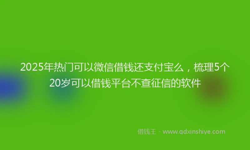 2025年热门可以微信借钱还支付宝么，梳理5个20岁可以借钱平台不查征信的软件