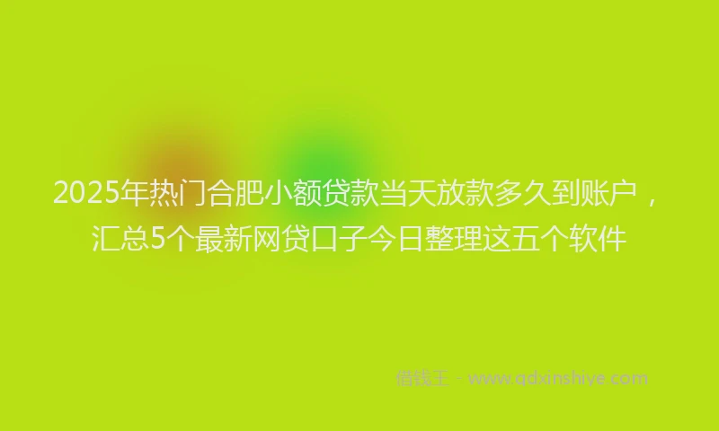 2025年热门合肥小额贷款当天放款多久到账户，汇总5个最新网贷口子今日整理这五个软件