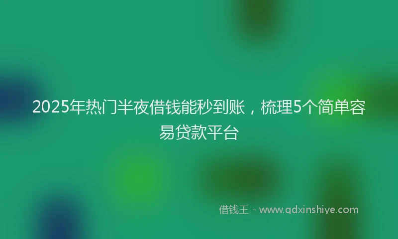 2025年热门半夜借钱能秒到账，梳理5个简单容易贷款平台