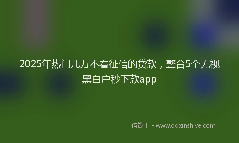 2025年热门几万不看征信的贷款，整合5个无视黑白户秒下款app