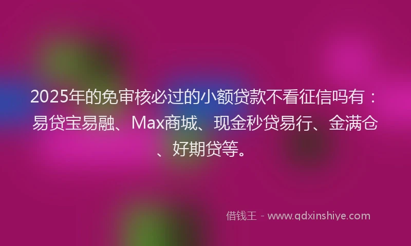 2025年的免审核必过的小额贷款不看征信吗有：易贷宝易融、Max商城、现金秒贷易行、金满仓、好期贷等。