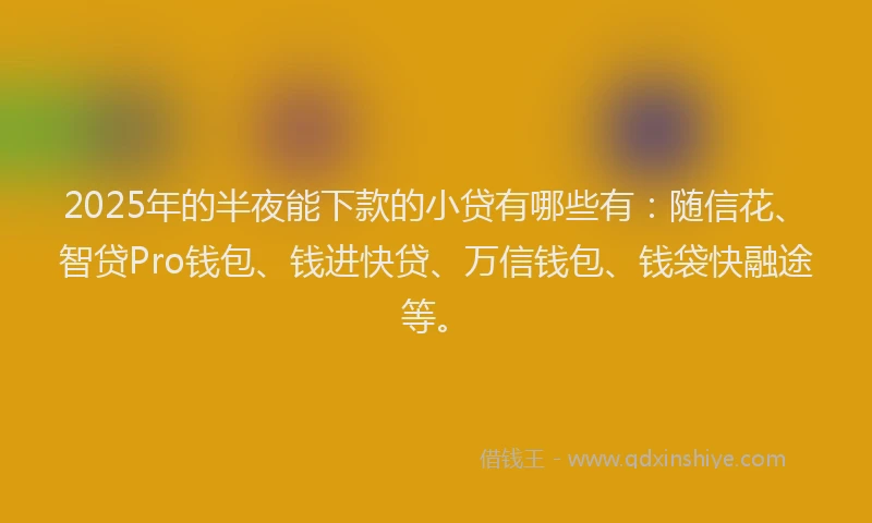 2025年的半夜能下款的小贷有哪些有：随信花、智贷Pro钱包、钱进快贷、万信钱包、钱袋快融途等。