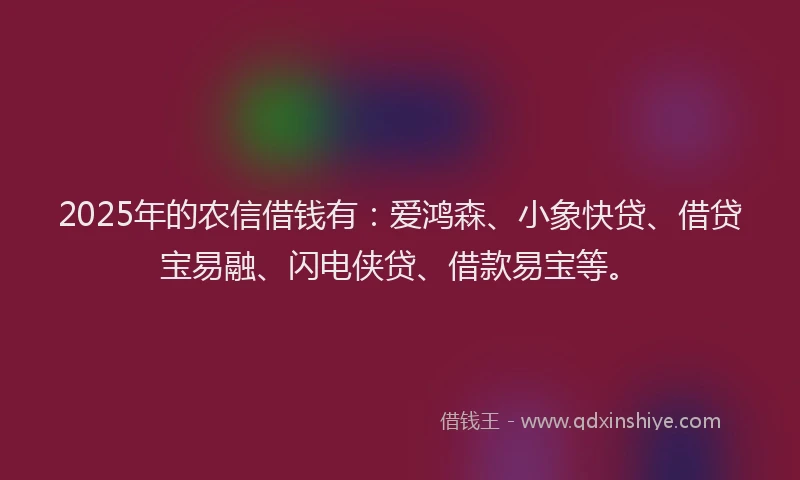 2025年的农信借钱有：爱鸿森、小象快贷、借贷宝易融、闪电侠贷、借款易宝等。