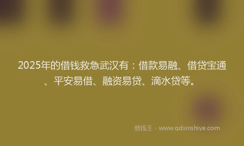 2025年的借钱救急武汉有：借款易融、借贷宝通、平安易借、融资易贷、滴水贷等。