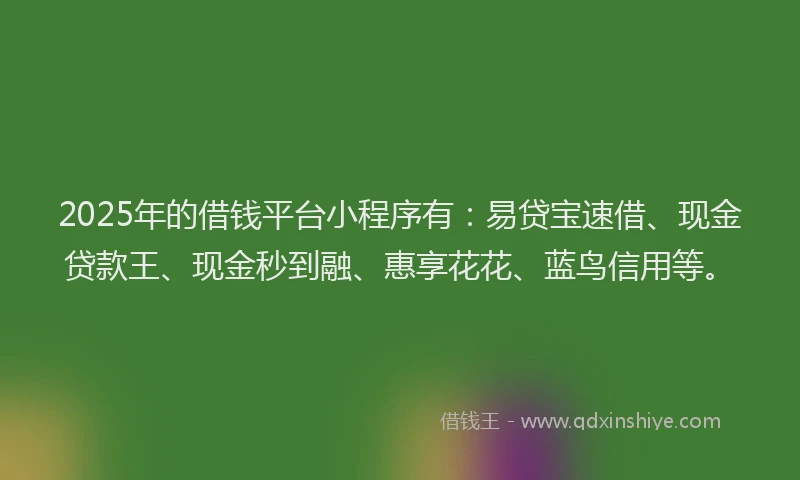 2025年的借钱平台小程序有：易贷宝速借、现金贷款王、现金秒到融、惠享花花、蓝鸟信用等。