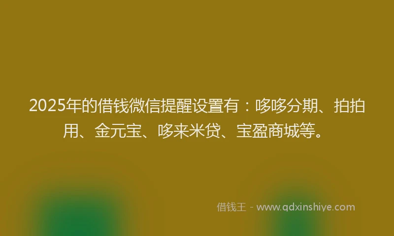 2025年的借钱微信提醒设置有：哆哆分期、拍拍用、金元宝、哆来米贷、宝盈商城等。