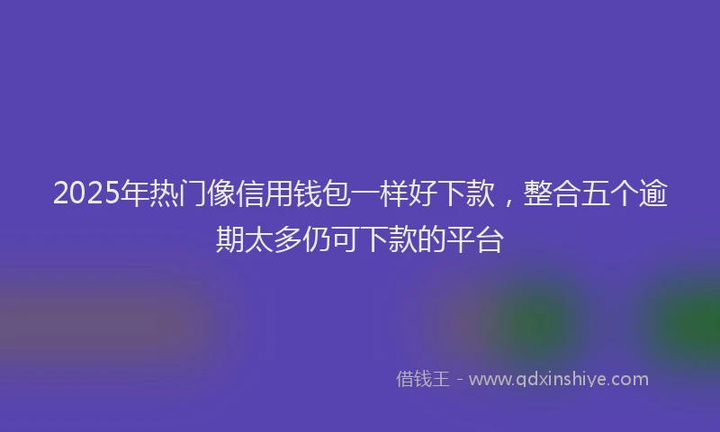 2025年热门像信用钱包一样好下款，整合五个逾期太多仍可下款的平台
