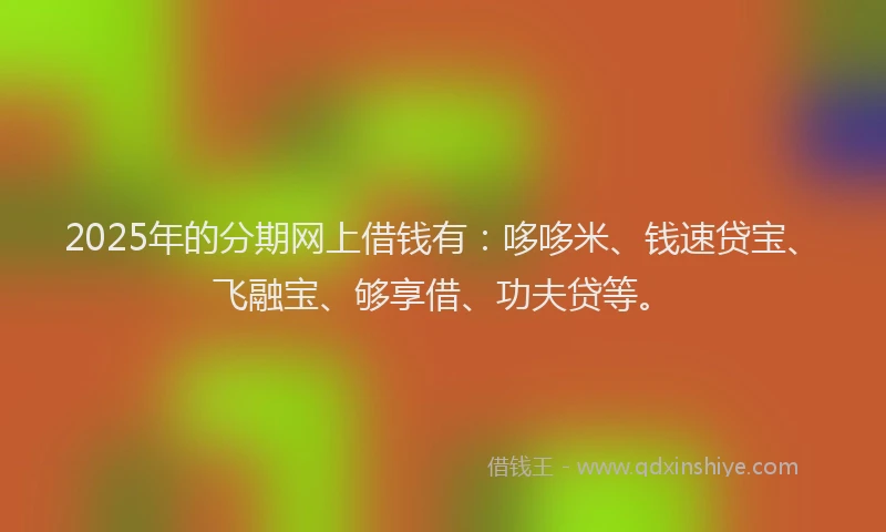2025年的分期网上借钱有：哆哆米、钱速贷宝、飞融宝、够享借、功夫贷等。