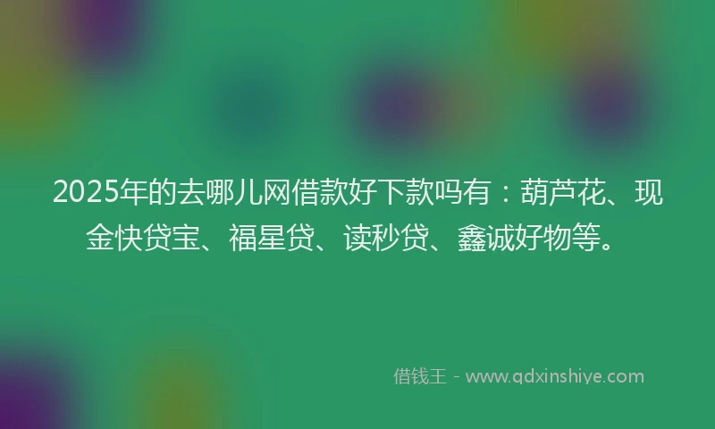 2025年的去哪儿网借款好下款吗有：葫芦花、现金快贷宝、福星贷、读秒贷、鑫诚好物等。