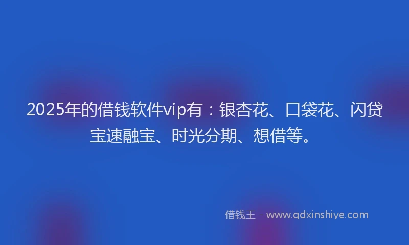 2025年的借钱软件vip有：银杏花、口袋花、闪贷宝速融宝、时光分期、想借等。