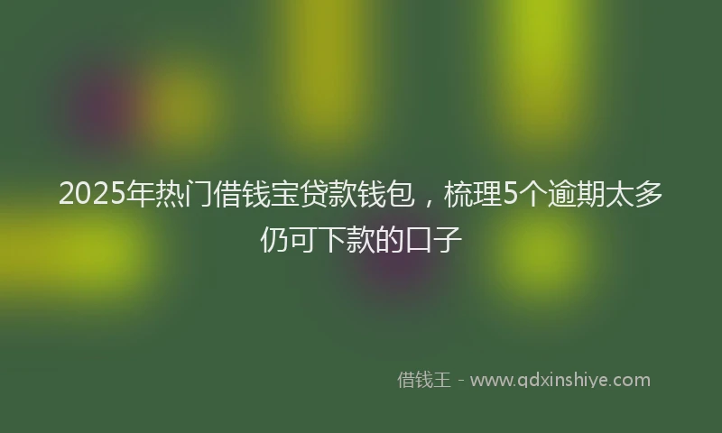 2025年热门借钱宝贷款钱包，梳理5个逾期太多仍可下款的口子