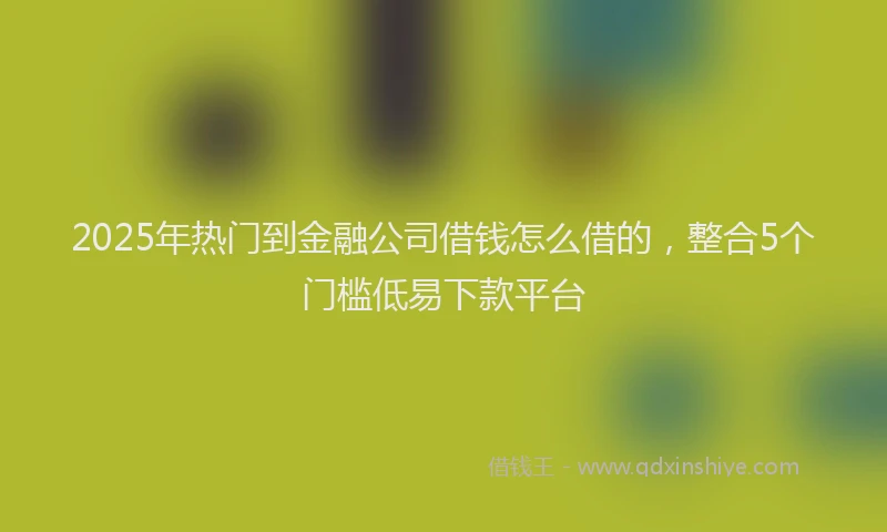 2025年热门到金融公司借钱怎么借的，整合5个门槛低易下款平台