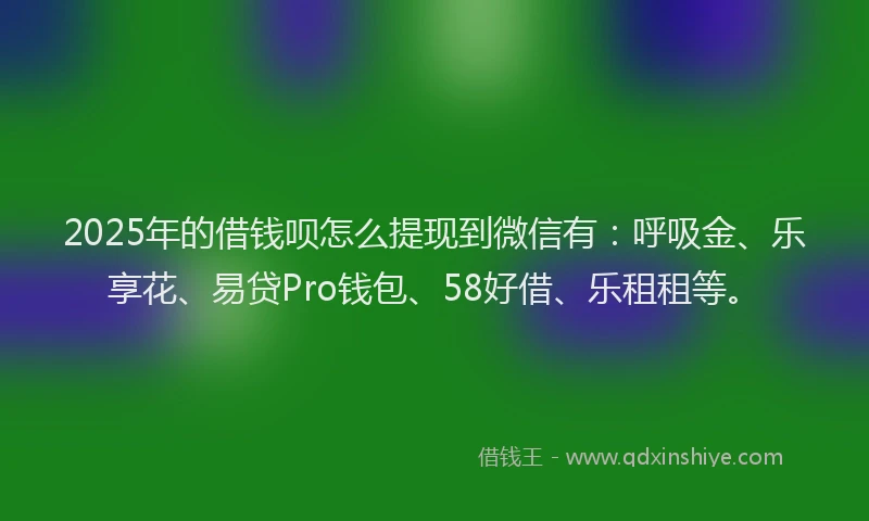 2025年的借钱呗怎么提现到微信有：呼吸金、乐享花、易贷Pro钱包、58好借、乐租租等。